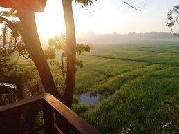 Sigiri Paddy Field Hut