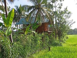 Sigiri Paddy Field Hut