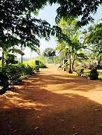 Sigiri Paddy Field Hut