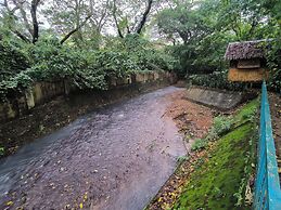 El Bosque Resort