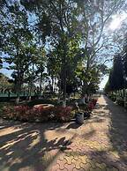 Resort Chilapata Green