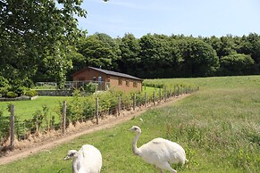 Holly Lodge