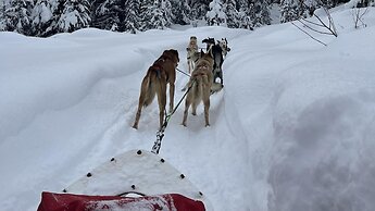 Cahilty #304 Home
