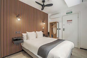 Dobo Madrid Siena