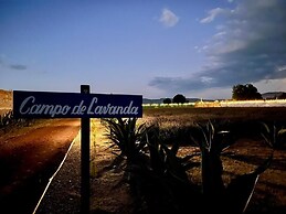 Glamping Rincón de Lavanda