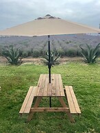 Glamping Rincón de Lavanda