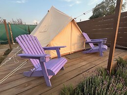 Glamping Rincón de Lavanda