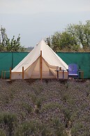 Glamping Rincón de Lavanda