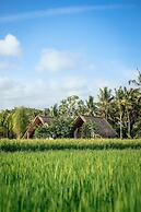 Awan Ubud