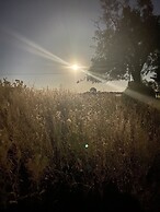 Wellbet Farm accommodation