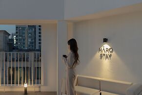 Haro Stay Sinsa