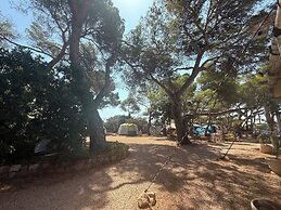 Camping Laplaya Ibiza