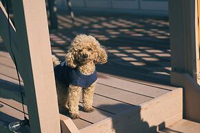 Solana Kisarazu