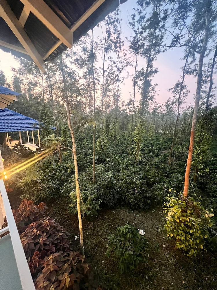 AETHERIA ESTATE RETREAT