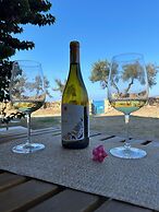 ReMare Favignana