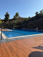 Hotel Anan Palace
