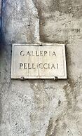 DOMUS PELLICCIAI