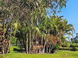 Casa Mala by Wynwood House