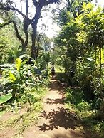 Kilimanjaro Pazuri Villas
