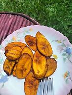Plantains Place Karatina