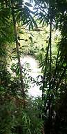 Ole Sidai Riverine Gardens