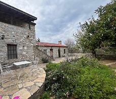 Zeytin Evi