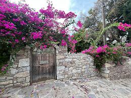 Zeytin Evi