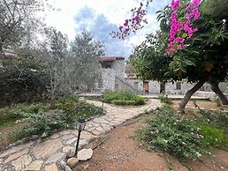 Zeytin Evi