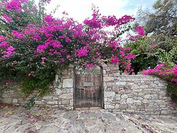 Zeytin Evi