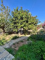 Zeytin Evi