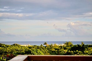 CARIBIQUE