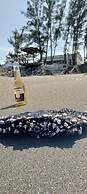 Hotel Playa Tortugas
