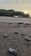 Hotel Playa Tortugas