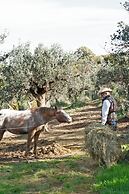 Agriturismo L'Uliveto Equestre