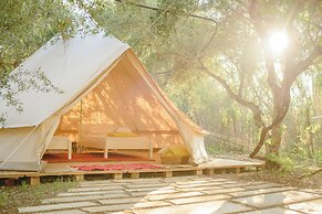 Odyssey Eco Farm Glamping