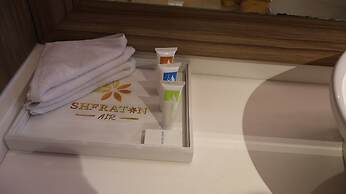Sheraton Air Hotel