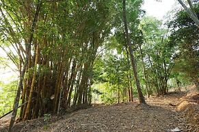 Vayuvana Heritage