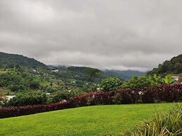 Baanpaya pano