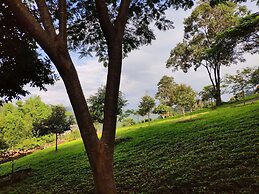 Baanpaya pano