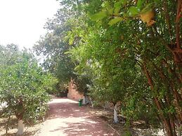 BELLA CISTERNA