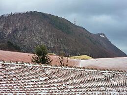 Central Inn Brasov