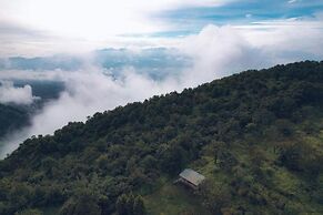 Punarjani Ayurvedic Resorts
