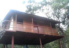 Punarjani Ayurvedic Resorts