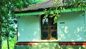 Punarjani Ayurvedic Resorts