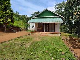 Punarjani Ayurvedic Resorts