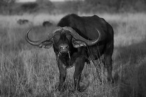 Babirwa Game Ranch