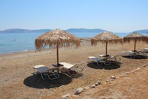Vassia Holiday Home's