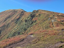 Grimming View I