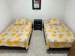 Oliva's House