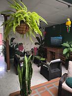 Oliva's House